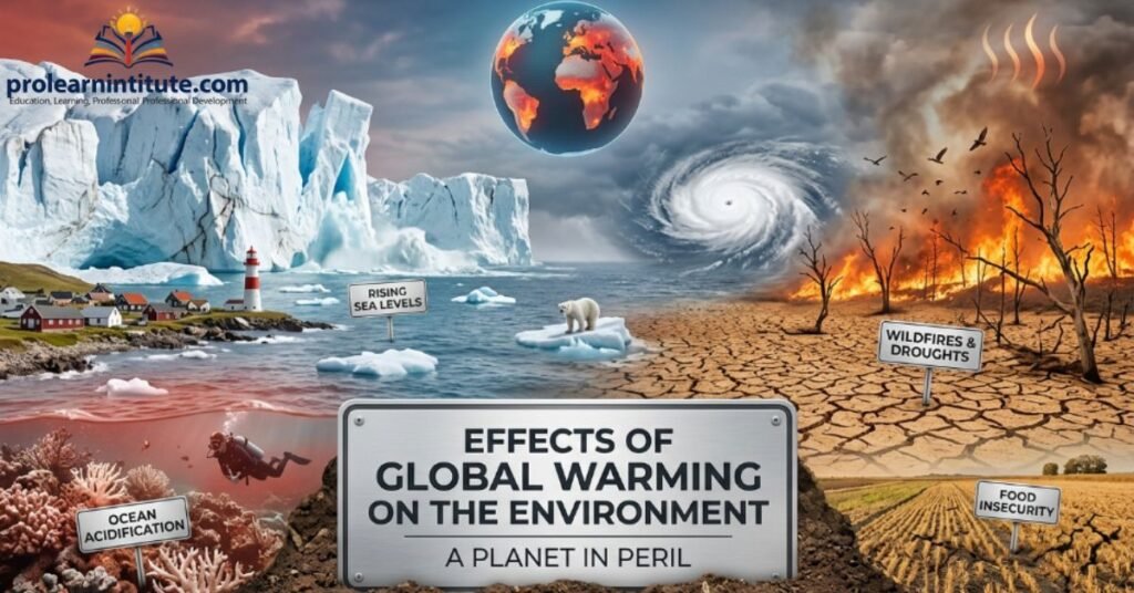 Effects of Global Warming on the Environment